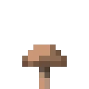 Champignon brun