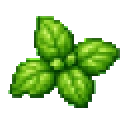 Basilic sauvage
