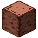 Bûche de pêcher écorcée