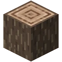 Bûche de noisetier