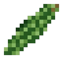 Concombre