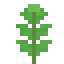 Menthe